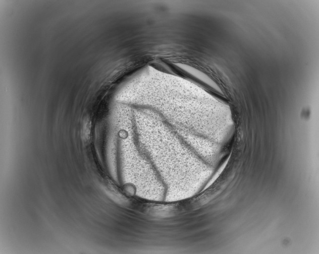 X0000098220081200805221658