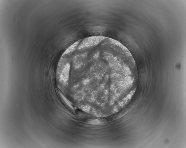 X0000098220083200805221658