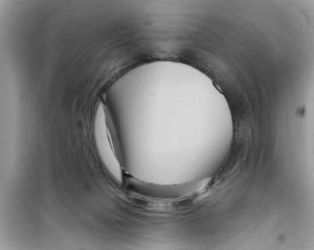 X0000098220084200805221658