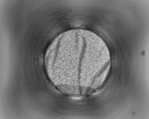 X0000098220085200805221658