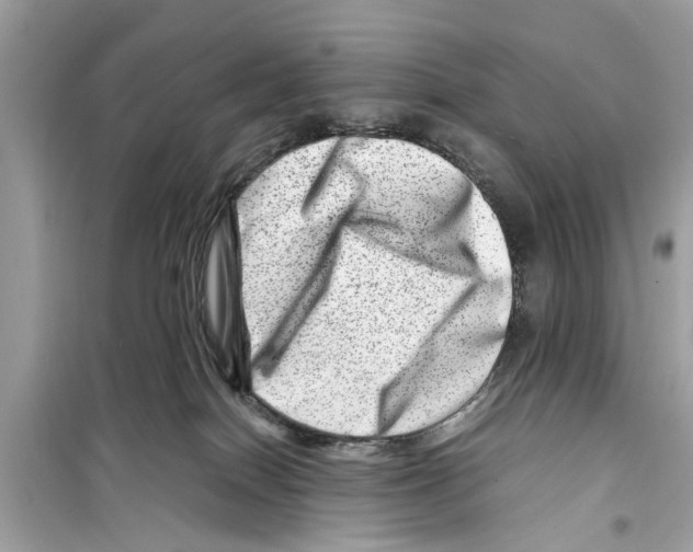 X0000098220086200805221658