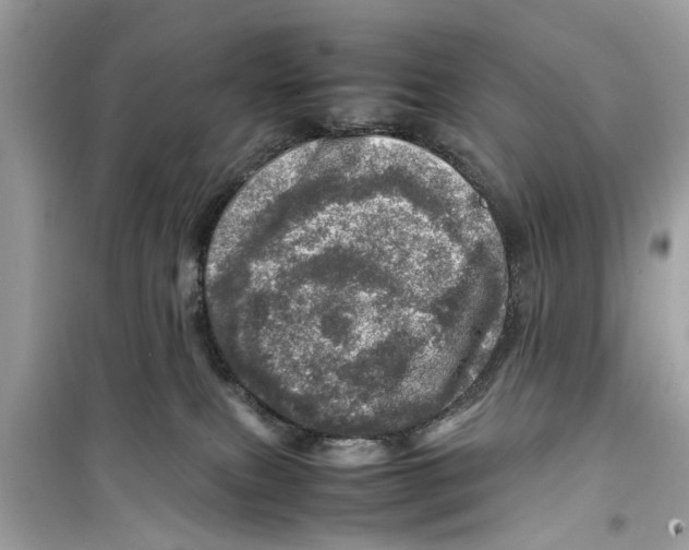 X0000098220087200805221658