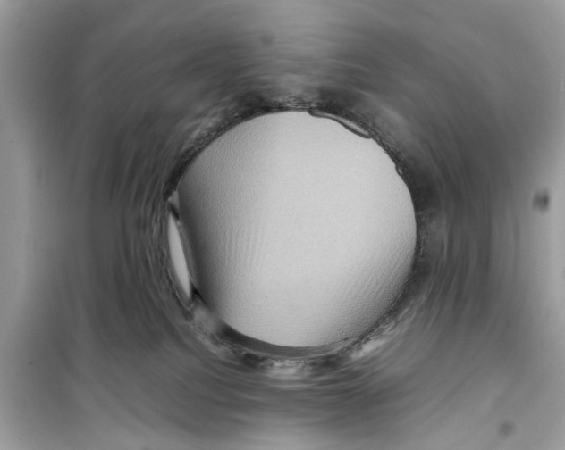 X0000098220088200805221658