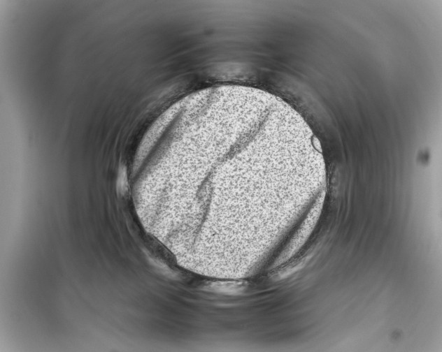 X0000098220089200805221658
