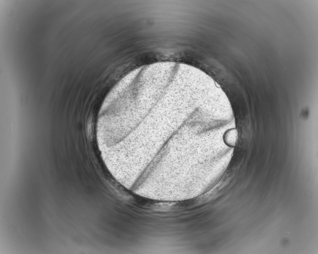 X0000098220090200805221658