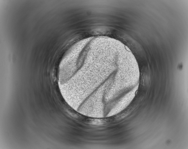 X0000098220091200805221658