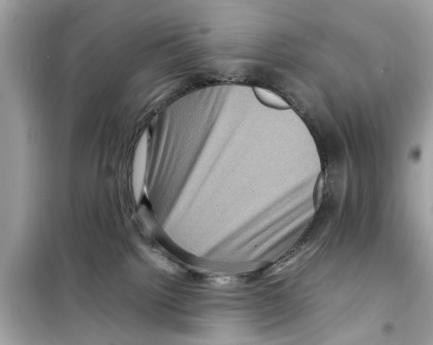 X0000098220092200805221658