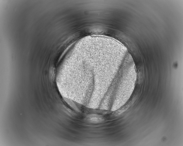 X0000098220093200805221658