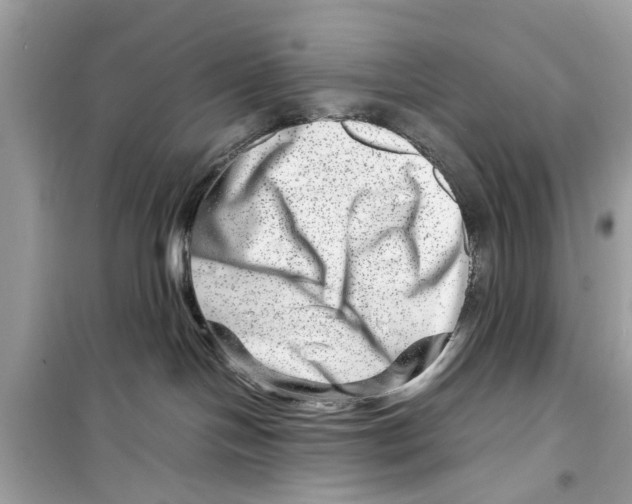 X0000098220094200805221658