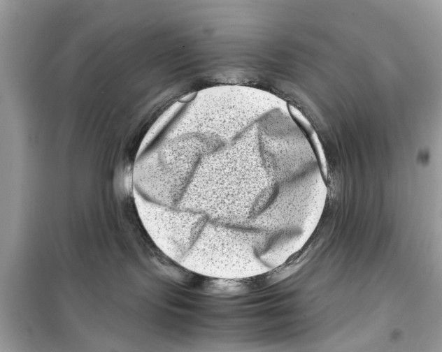 X0000098220095200805221658