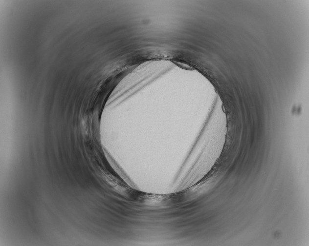 X0000098220096200805221658