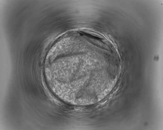 X0000098220097200805221657