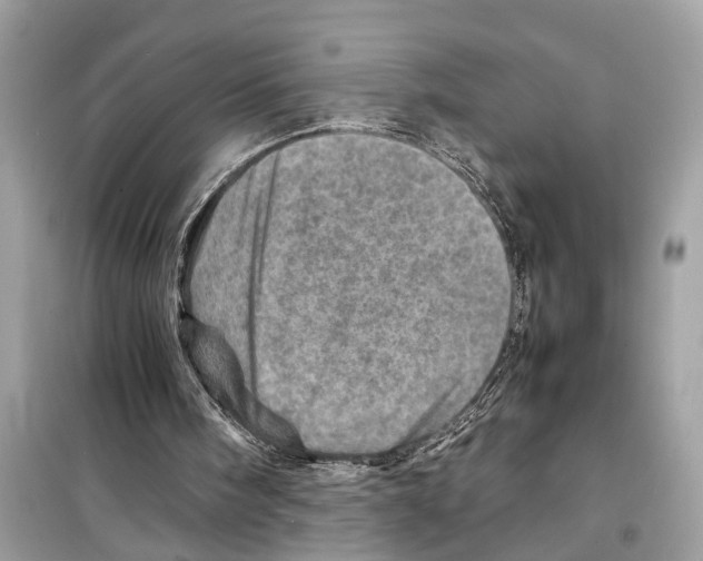 X0000098220098200805221657