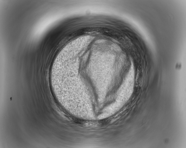 X0000098220099200805221657