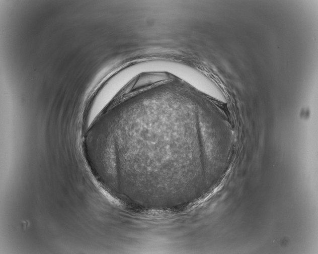 X0000098220101200805221657