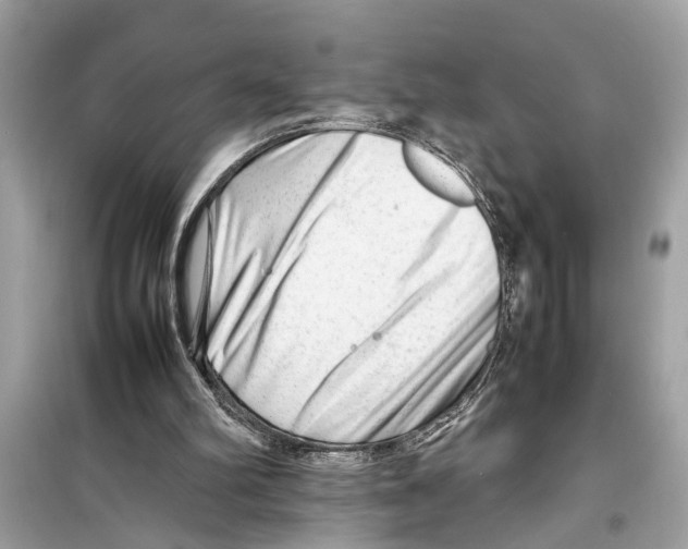 X0000098220102200805221657