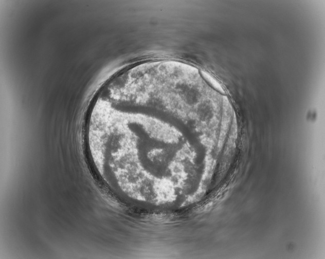 X0000098220103200805221657