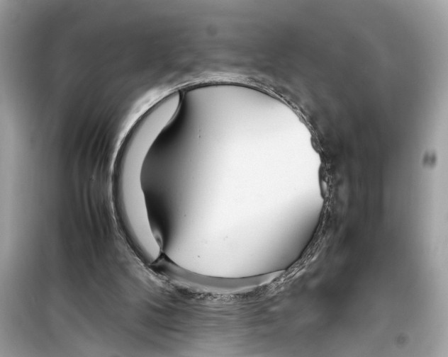 X0000098220104200805221657