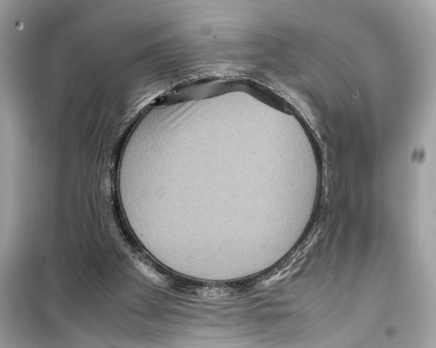 X0000098220105200805221657