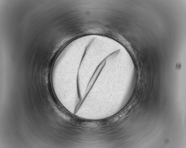 X0000098220106200805221657