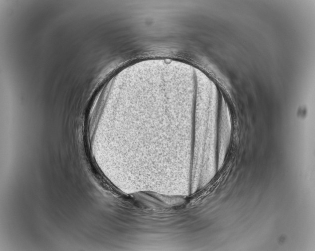 X0000098220107200805221657
