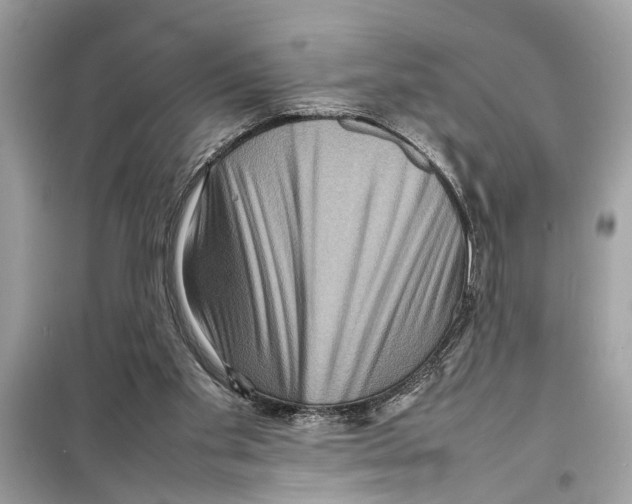 X0000098220109200805221657