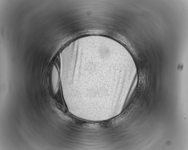 X0000098220110200805221657