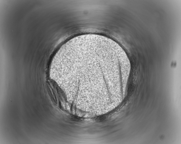 X0000098220111200805221657