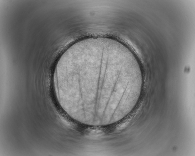 X0000098220113200805221657