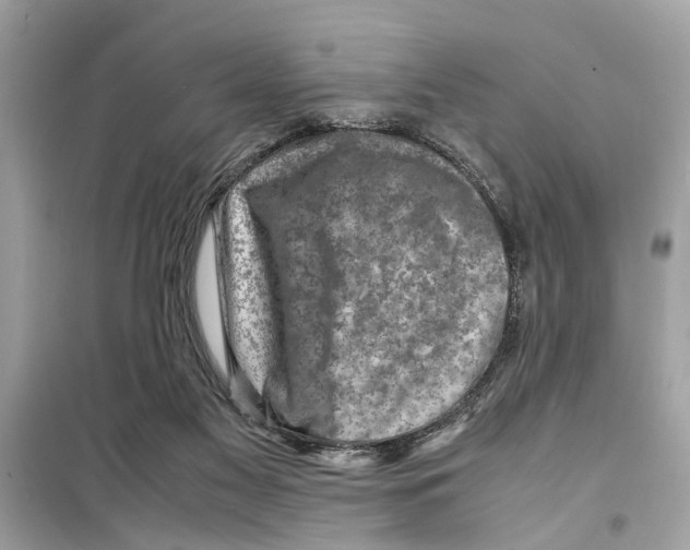X0000098220117200805221657