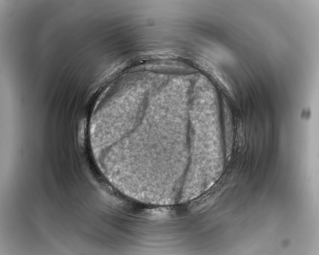 X0000098220118200805221657