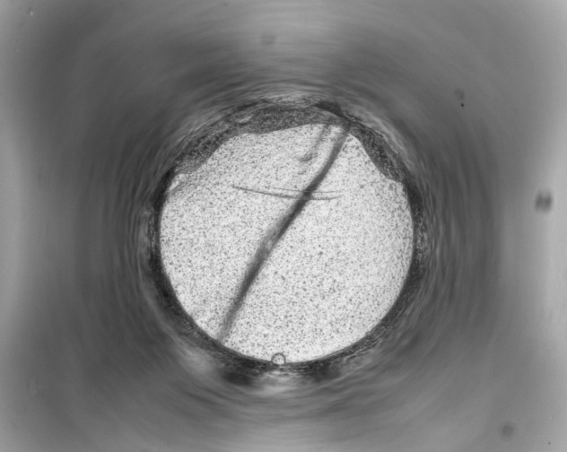 X0000098220119200805221657