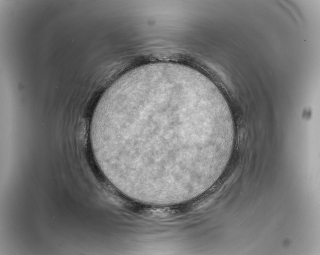 X0000098220121200805221657