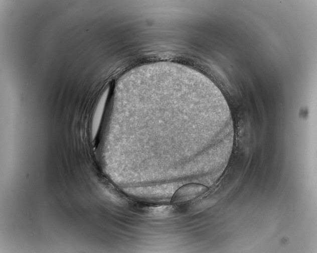 X0000098220122200805221657