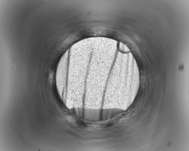 X0000098220123200805221657