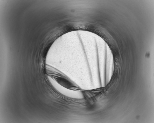 X0000098220125200805221657