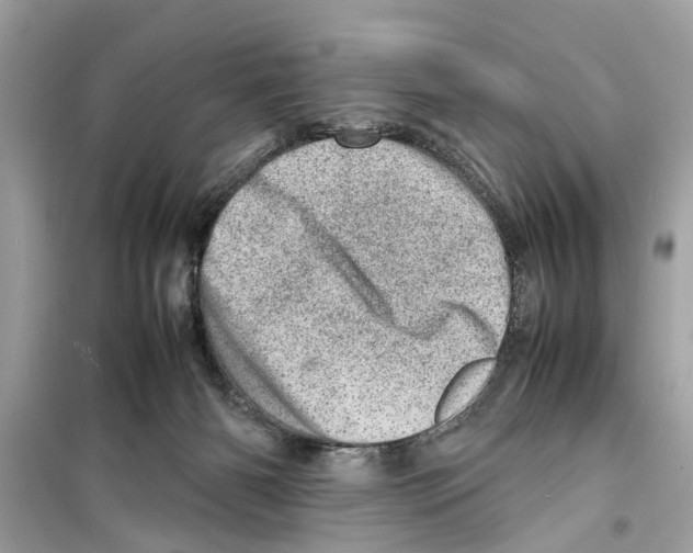 X0000098220126200805221657