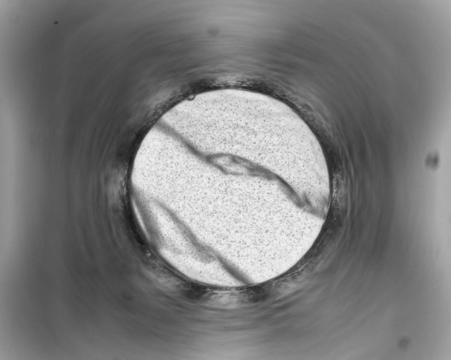 X0000098220127200805221657