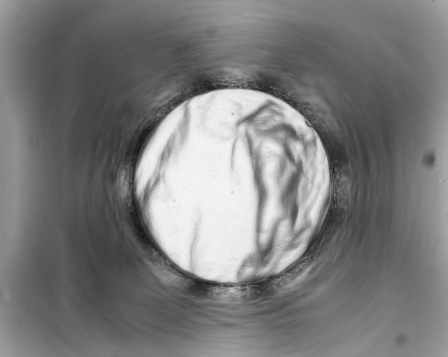 X0000098220131200805221657