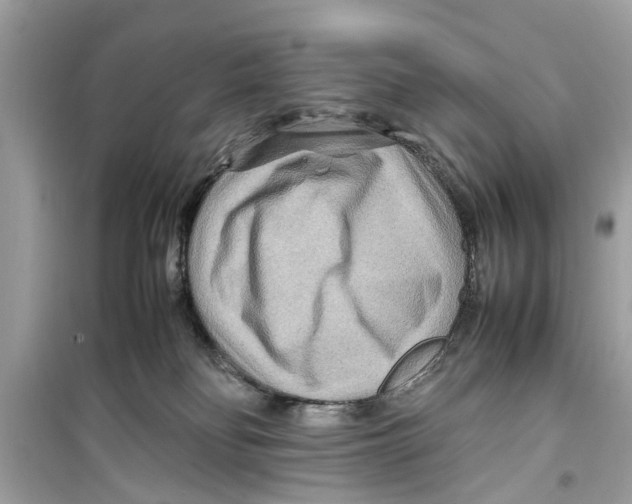 X0000098220134200805221656