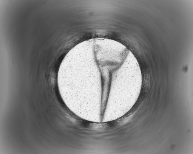 X0000098220135200805221656