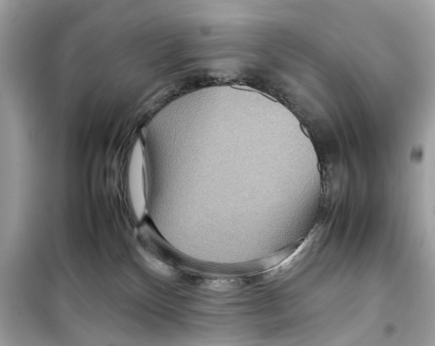 X0000098220136200805221656