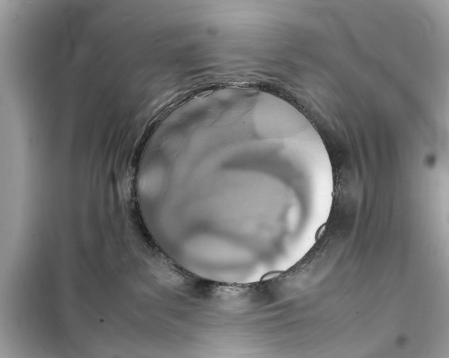 X0000098220139200805221656
