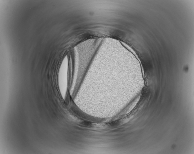 X0000098220141200805221656