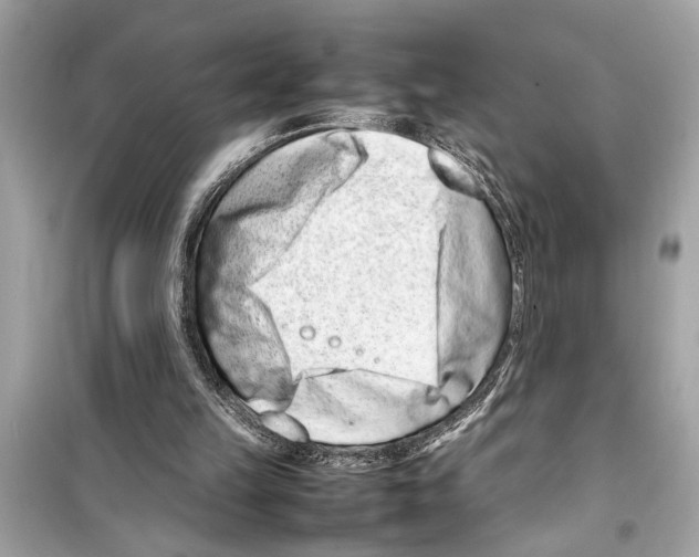 X0000098220149200805221656