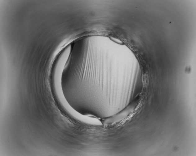 X0000098220150200805221656
