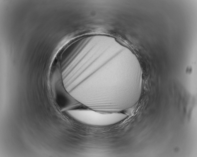 X0000098220152200805221656