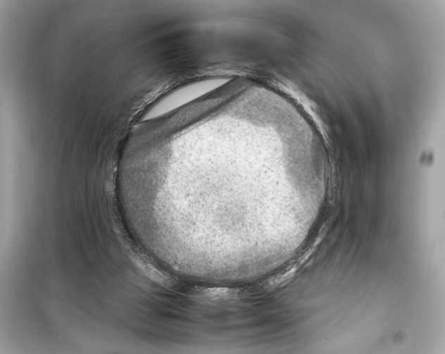 X0000098220153200805221656