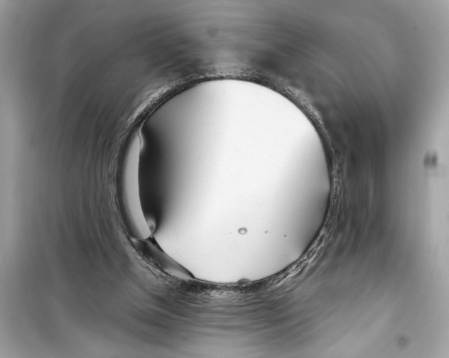 X0000098220154200805221656