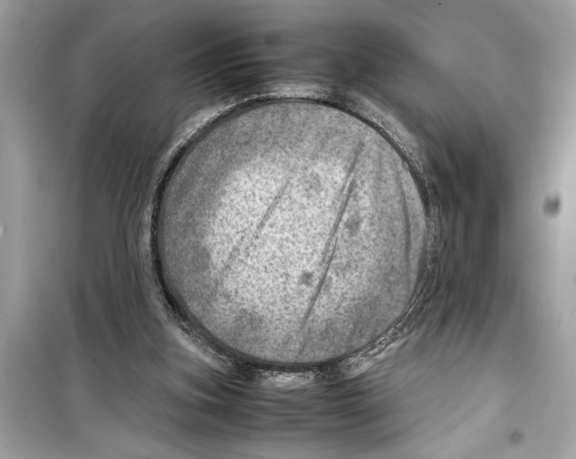X0000098220155200805221656